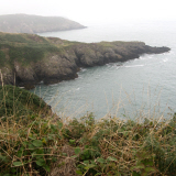 Pembrokeshire Coastal Path, Wales. Photo (c) Ann B. Blake